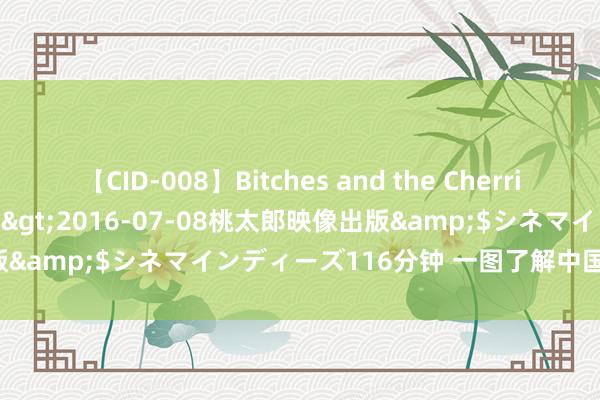 【CID-008】Bitches and the Cherries-ヤリマンと童貞-</a>2016-07-08桃太郎映像出版&$シネマインディーズ116分钟 一图了解中国2035年的贪图