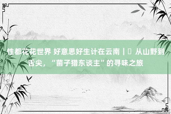 性都花花世界 好意思好生计在云南｜​从山野到舌尖，“菌子猎东谈主”的寻味之旅