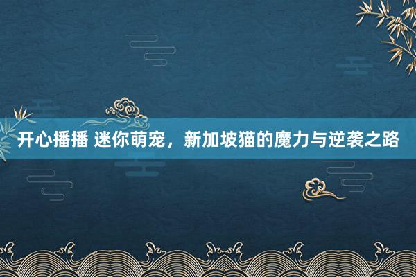 开心播播 迷你萌宠，新加坡猫的魔力与逆袭之路