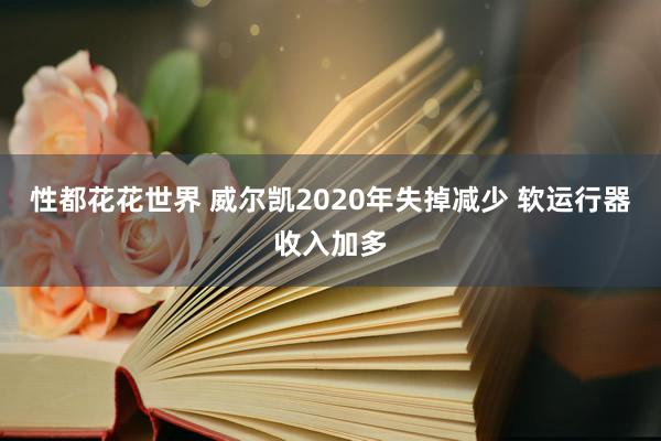 性都花花世界 威尔凯2020年失掉减少 软运行器收入加多