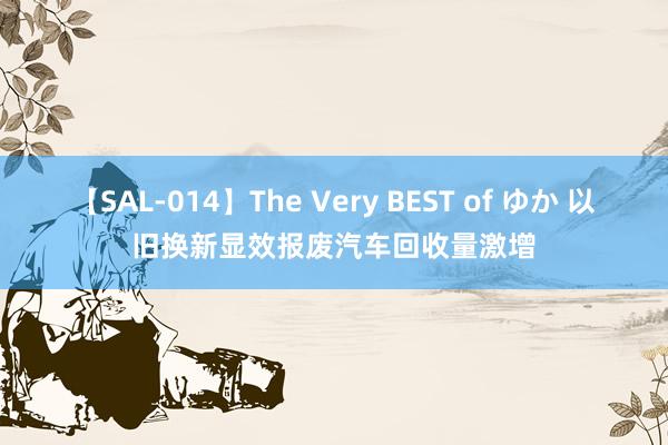 【SAL-014】The Very BEST of ゆか 以旧换新显效报废汽车回收量激增