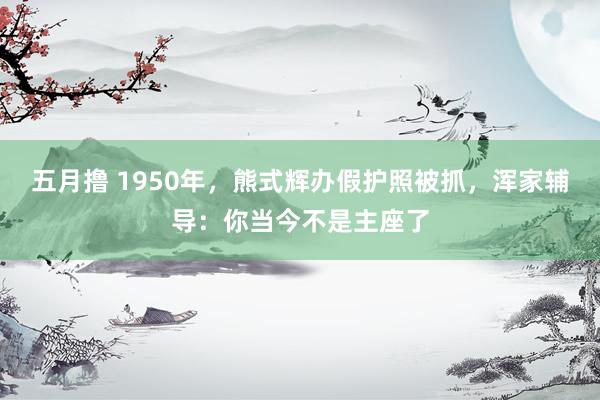 五月撸 1950年，熊式辉办假护照被抓，浑家辅导：你当今不是主座了