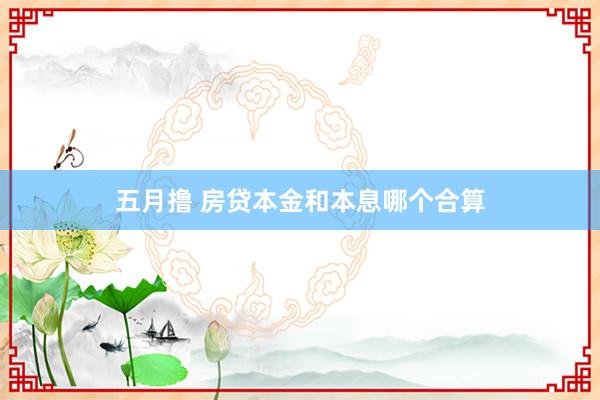 五月撸 房贷本金和本息哪个合算