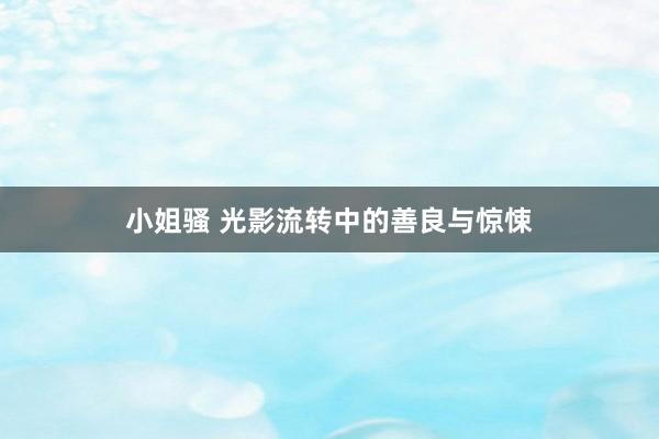 小姐骚 光影流转中的善良与惊悚