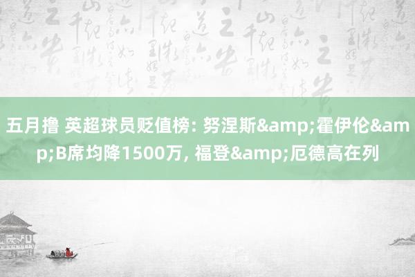 五月撸 英超球员贬值榜: 努涅斯&霍伊伦&B席均降1500万, 
