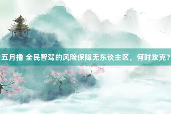 五月撸 全民智驾的风险保障无东谈主区，何时攻克？